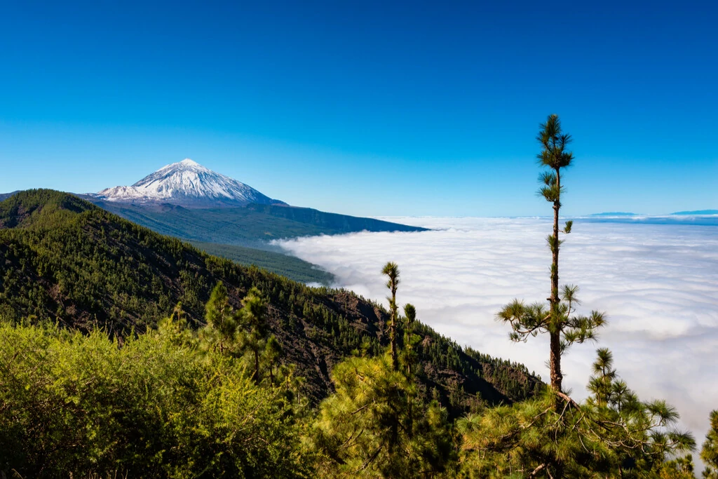 Volcán Teide Canarias