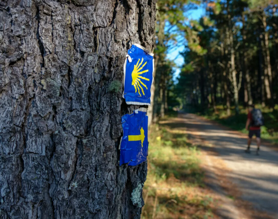 Señal del Camino de Santiago portugués