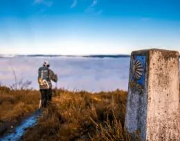 Trayecto del Camino de Santiago