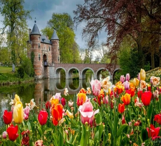 Casas de vacaciones Bélgica