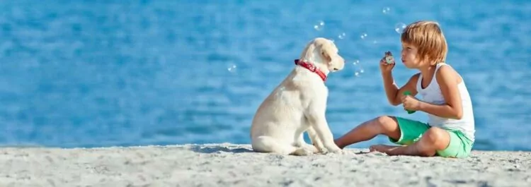 Casa de vacaciones con tu perro